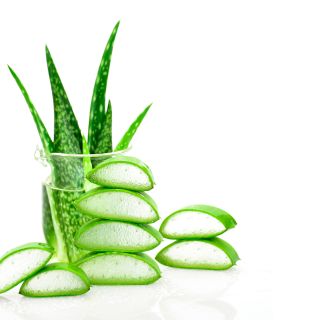 Aloe vera